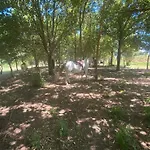 La Concia Gavorrano