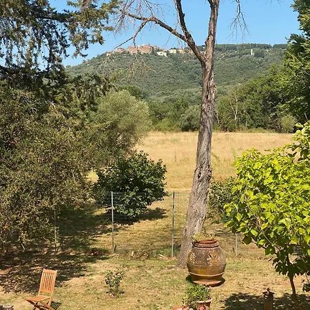 La Concia