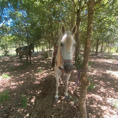 La Concia Farm stay