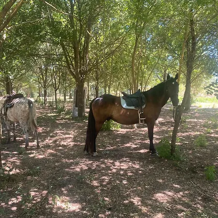 La Concia