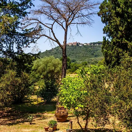 La Concia